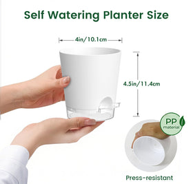 Meowell 4-inch self-watering pot shows water level clearly for easy moisture monitoring.