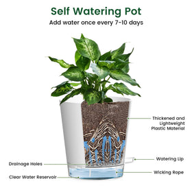 Meowell wick-rope system delivers steady moisture to roots.