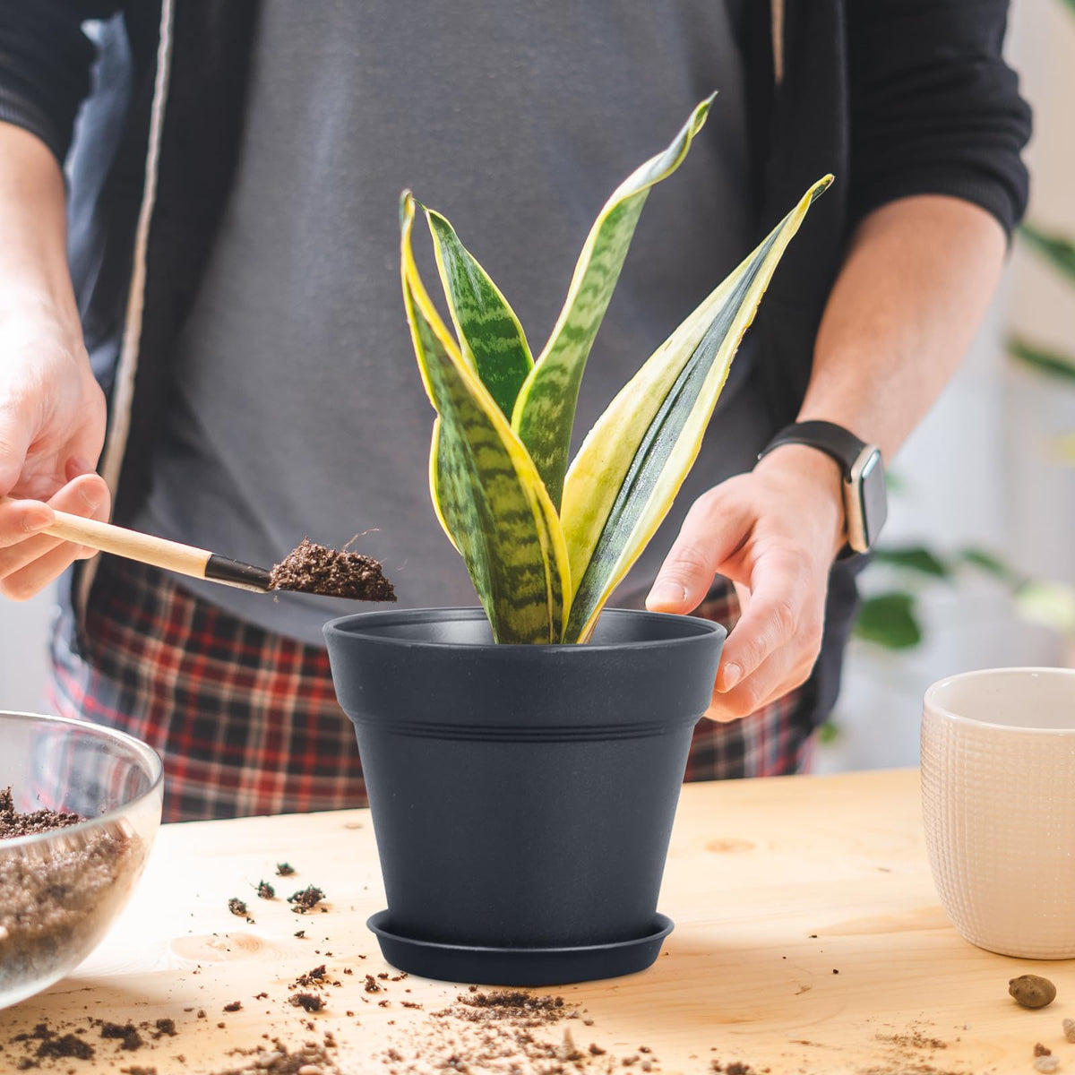 Meowell matte-finish pot, modern look for stylish plant displays.