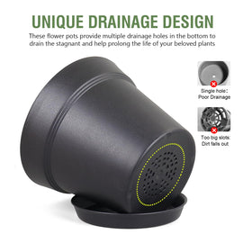 Meowell 6-inch pot with saucer enables tidy, spill-free watering.