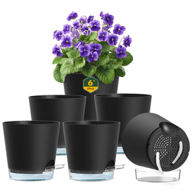 Meowell 6-inch self-watering pot with drainage holes in a six-pack for easy moisture control.