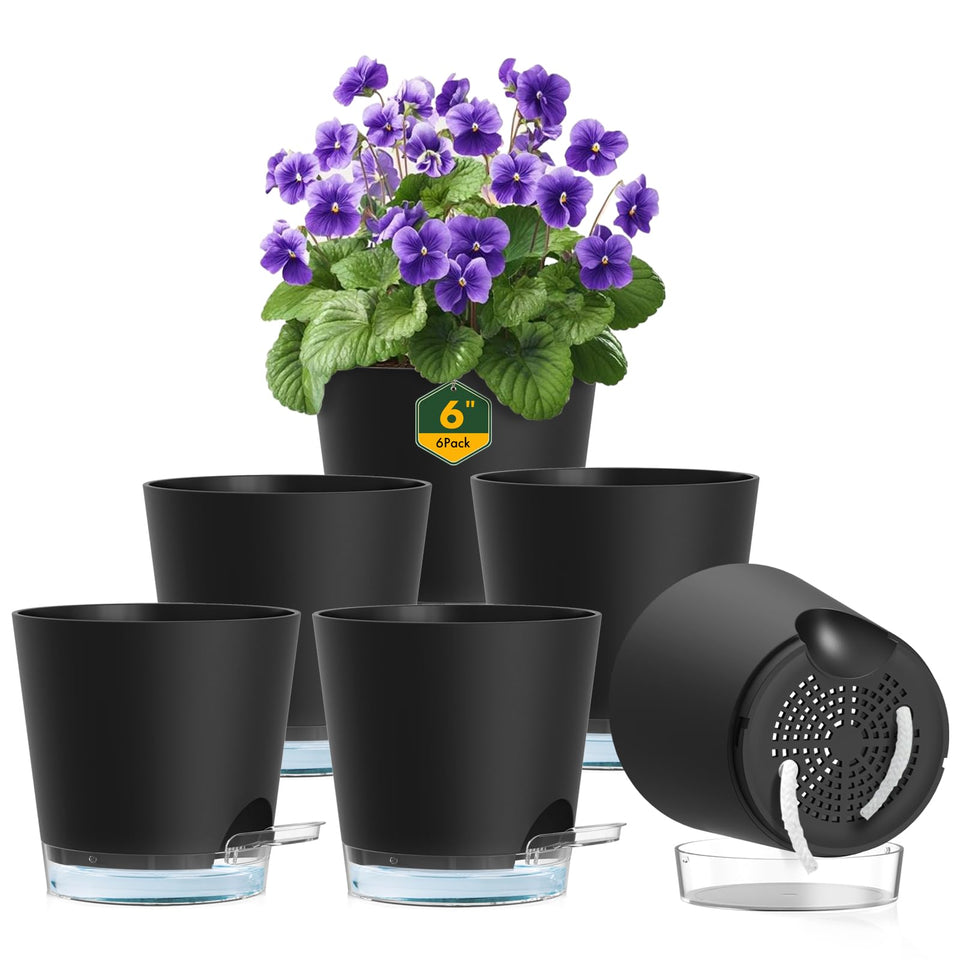 Meowell 6-inch self-watering pot with drainage holes in a six-pack for easy moisture control.