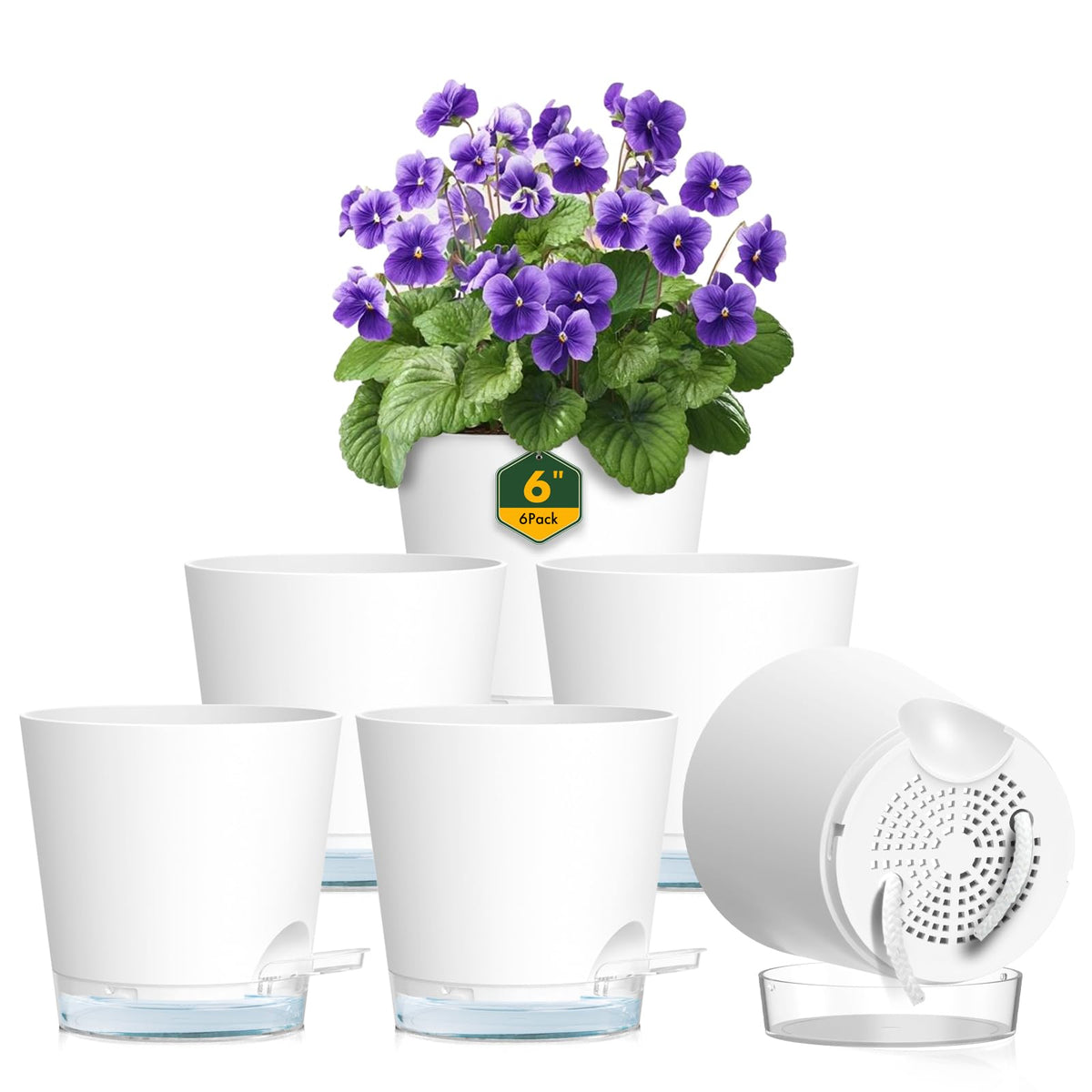 Meowell 6-inch self-watering pot with water level indicator for easy monitoring.