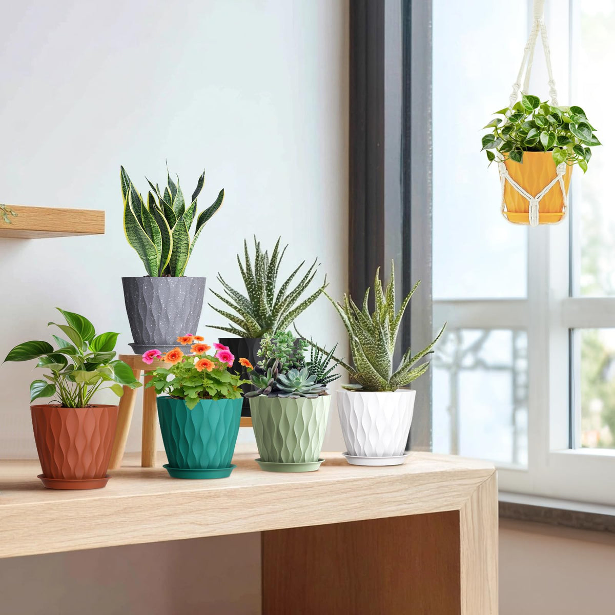 Meowell 7 inch multi-color pots fit small to medium houseplants