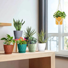 Meowell 7 inch multi-color pots fit small to medium houseplants