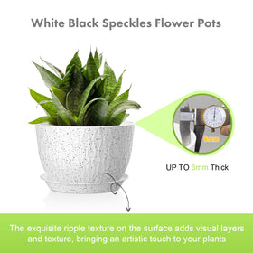 Meowell 9-inch ripple pot ideal for succulents and herbs.