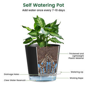 Meowell black minimalist planters suit indoors and outdoors.