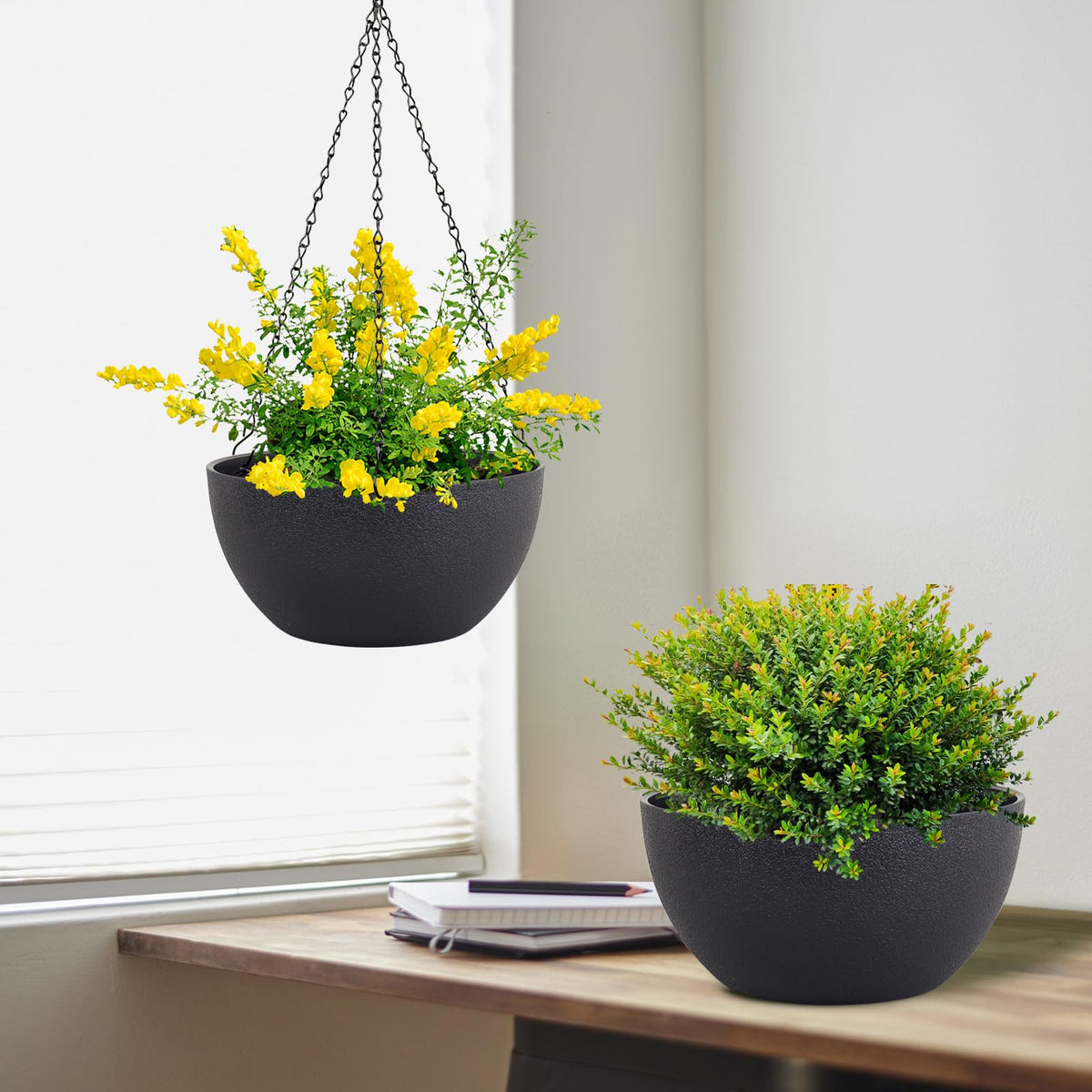 Meowell indoor-outdoor hanging planter ideal for balcony, window, or garden display