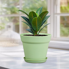 Meowell minimalist planter with matte texture for modern home decor.