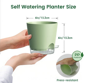 Meowell pot with drainage holes and water level reveal supports healthy moisture management.