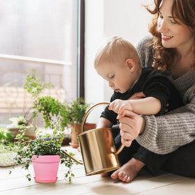 Meowell reusable plastic seedling pots designed for multiple seasons.