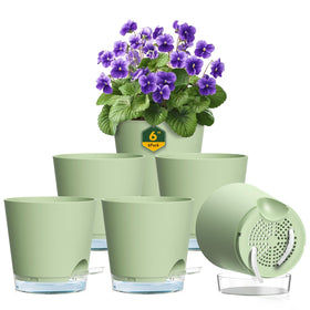 Meowell self-watering pot 6inch set display showcases stylish plant arrangement.