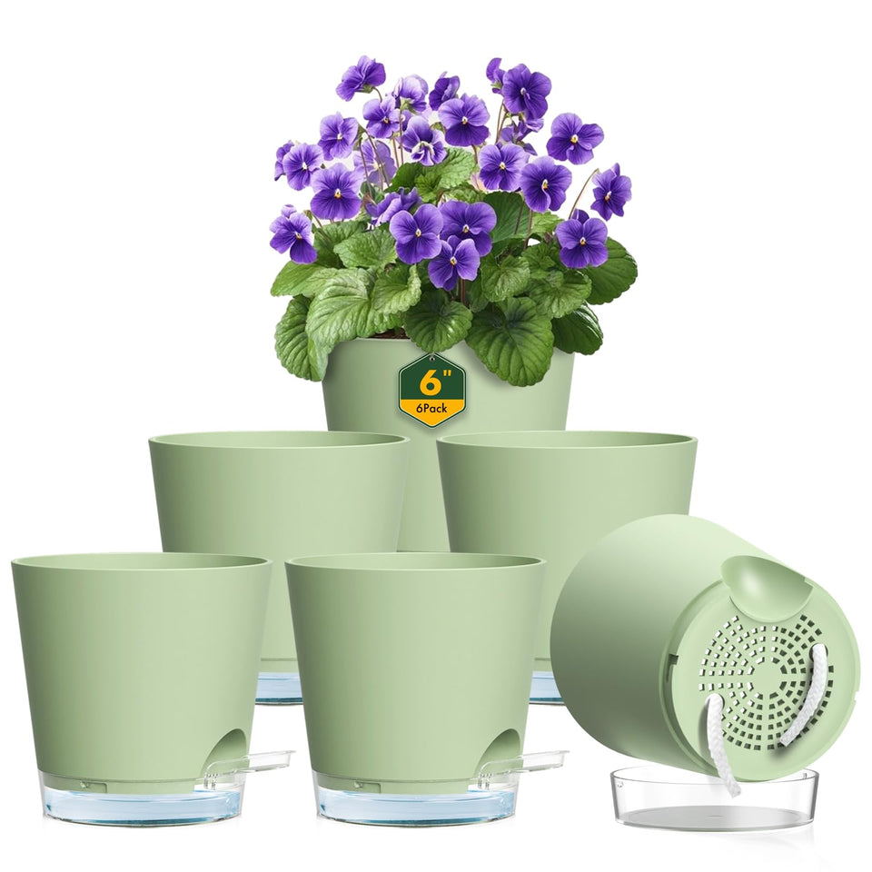 Meowell self-watering pot 6inch set display showcases stylish plant arrangement.