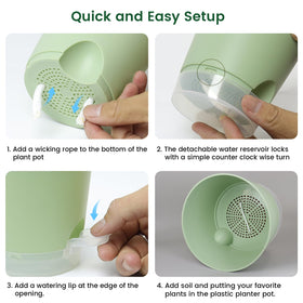 Meowell self-watering pot with clear reservoir displays water level