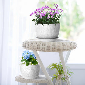 Meowell speckled white plant pot enhances modern décor.