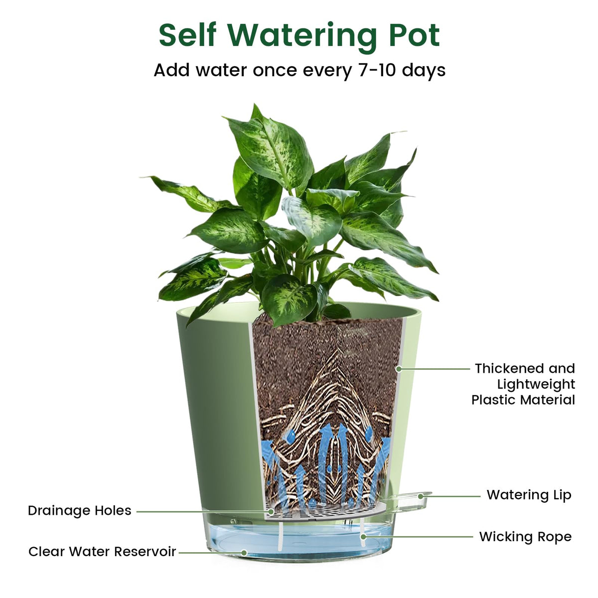 Meowell wicking rope delivery system reduces watering frequency for busy homes.