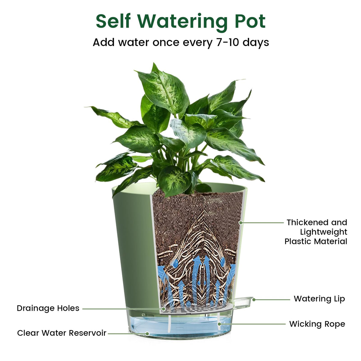 Meowell pot's wick rope in action delivering water to roots