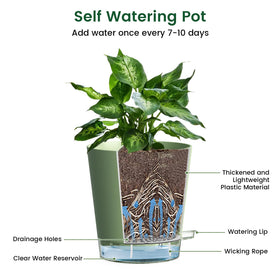 Meowell pot's wick rope in action delivering water to roots