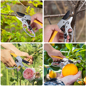 MEPEREZ pruning shears for plant propagation and delicate pruning tasks