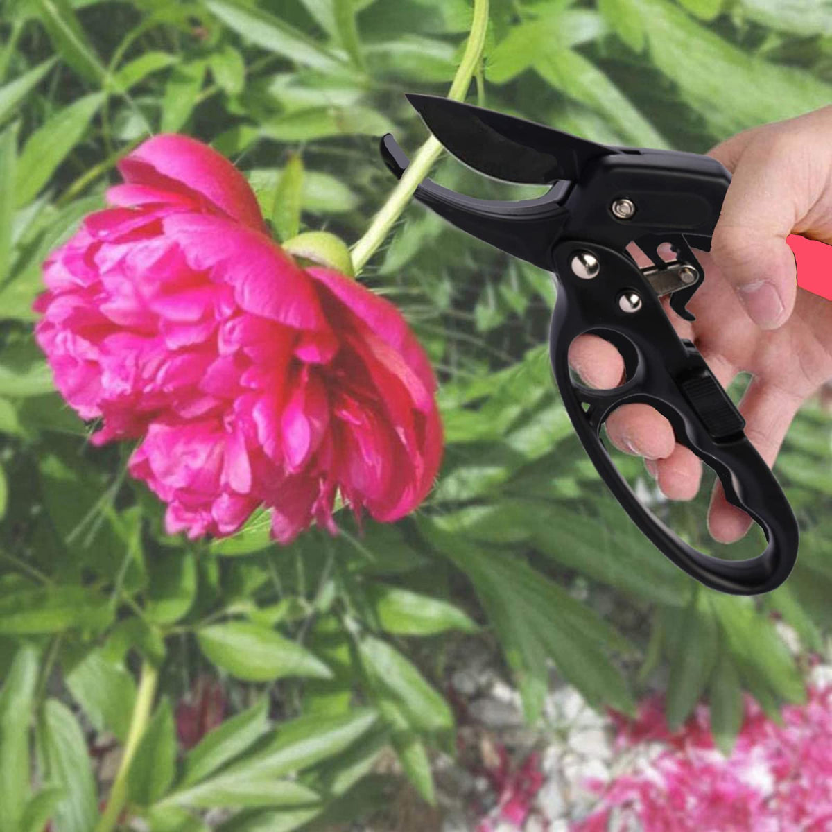 MEPEREZ pruning shears make a thoughtful garden gift with reliable performance