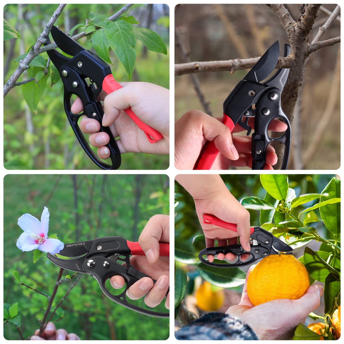 MEPEREZ pruning shears tackle small branches and houseplants with ease