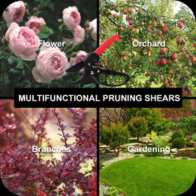MEPEREZ pruning shears great for plant propagation pruning and trimming leaves