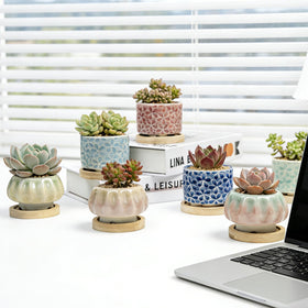 Mepubby ice crack glaze square pot cream beige brings warm tones