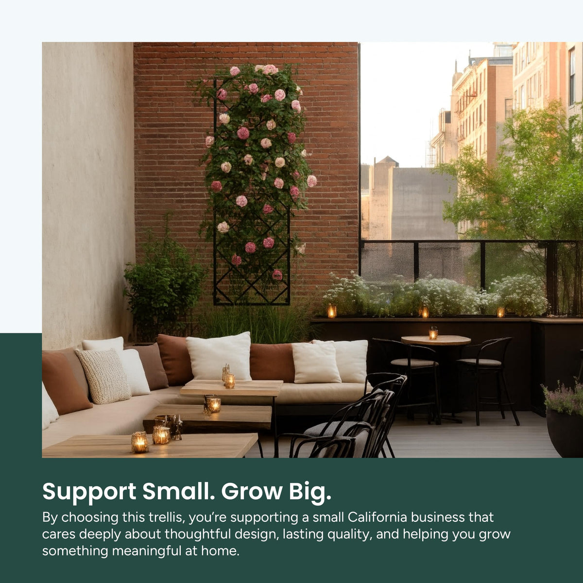 Meranti garden accent elevates bare walls with green growth