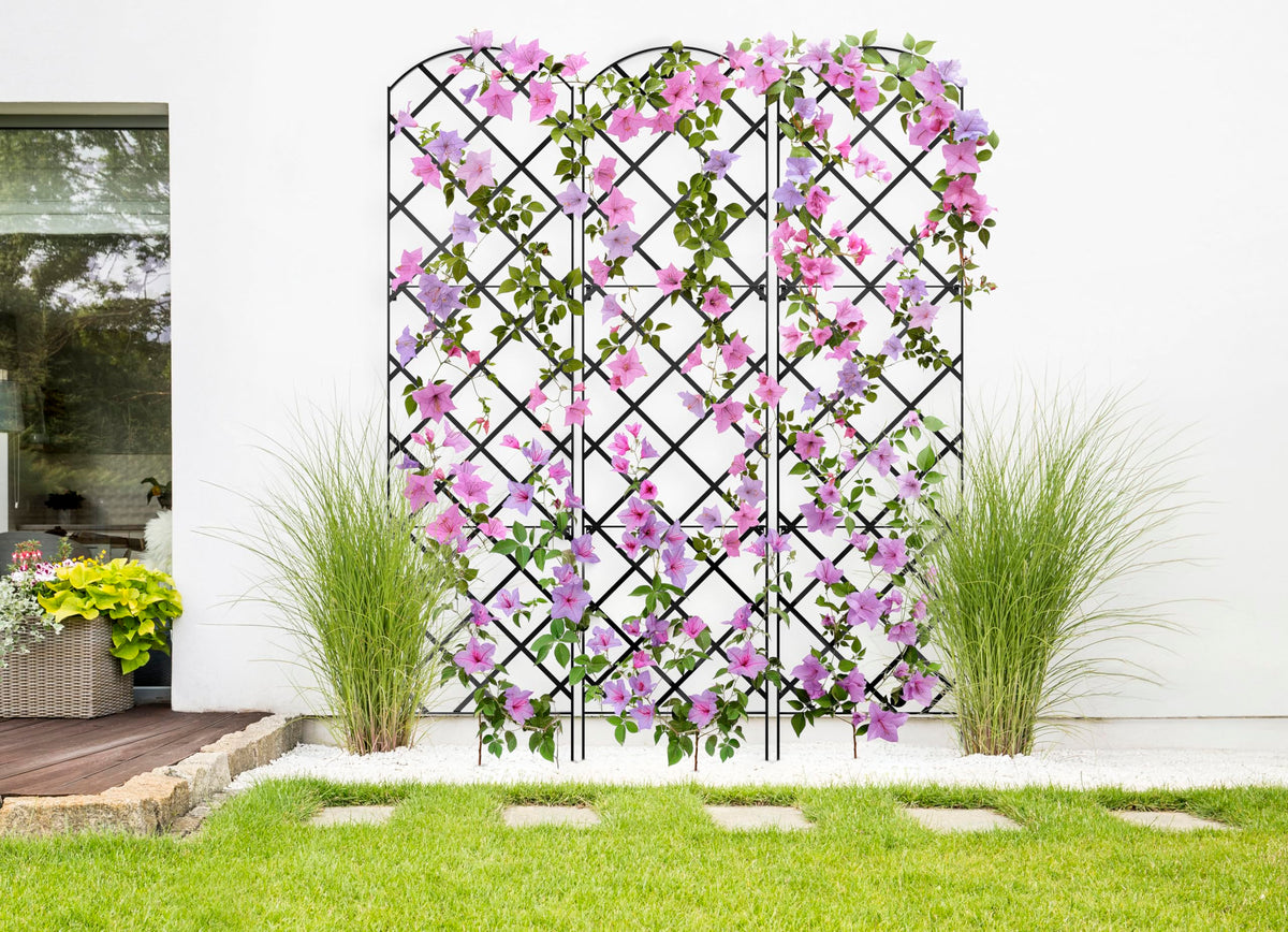 Meranti Giant Trellis powder-coated finish provides durable outdoor protection.