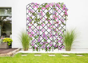 Meranti Giant Trellis powder-coated finish provides durable outdoor protection.