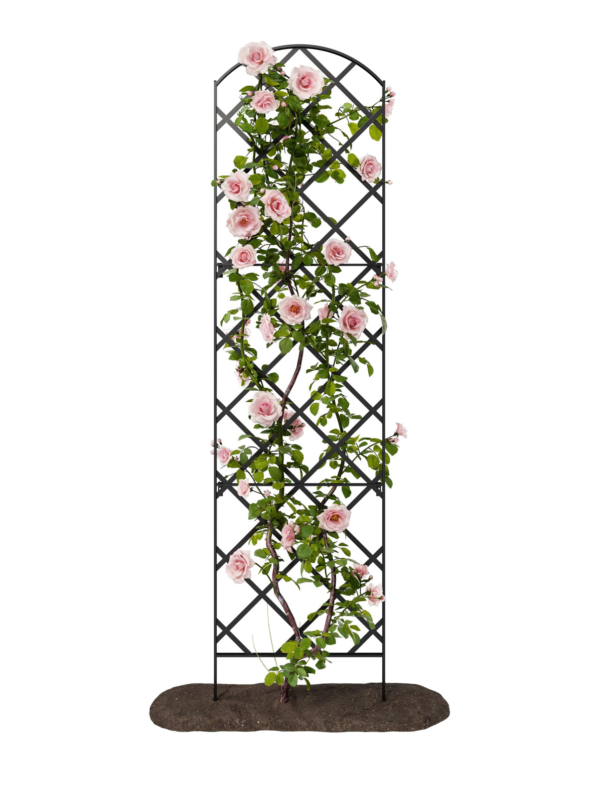 Meranti Giant Trellis wall-mount brackets included for secure mounting.