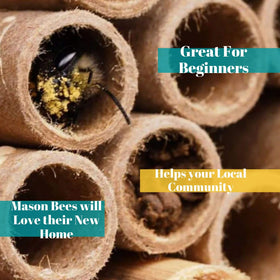 Merhoff and Larkin 5/16 inch diameter bee tubes designed for mason bees.