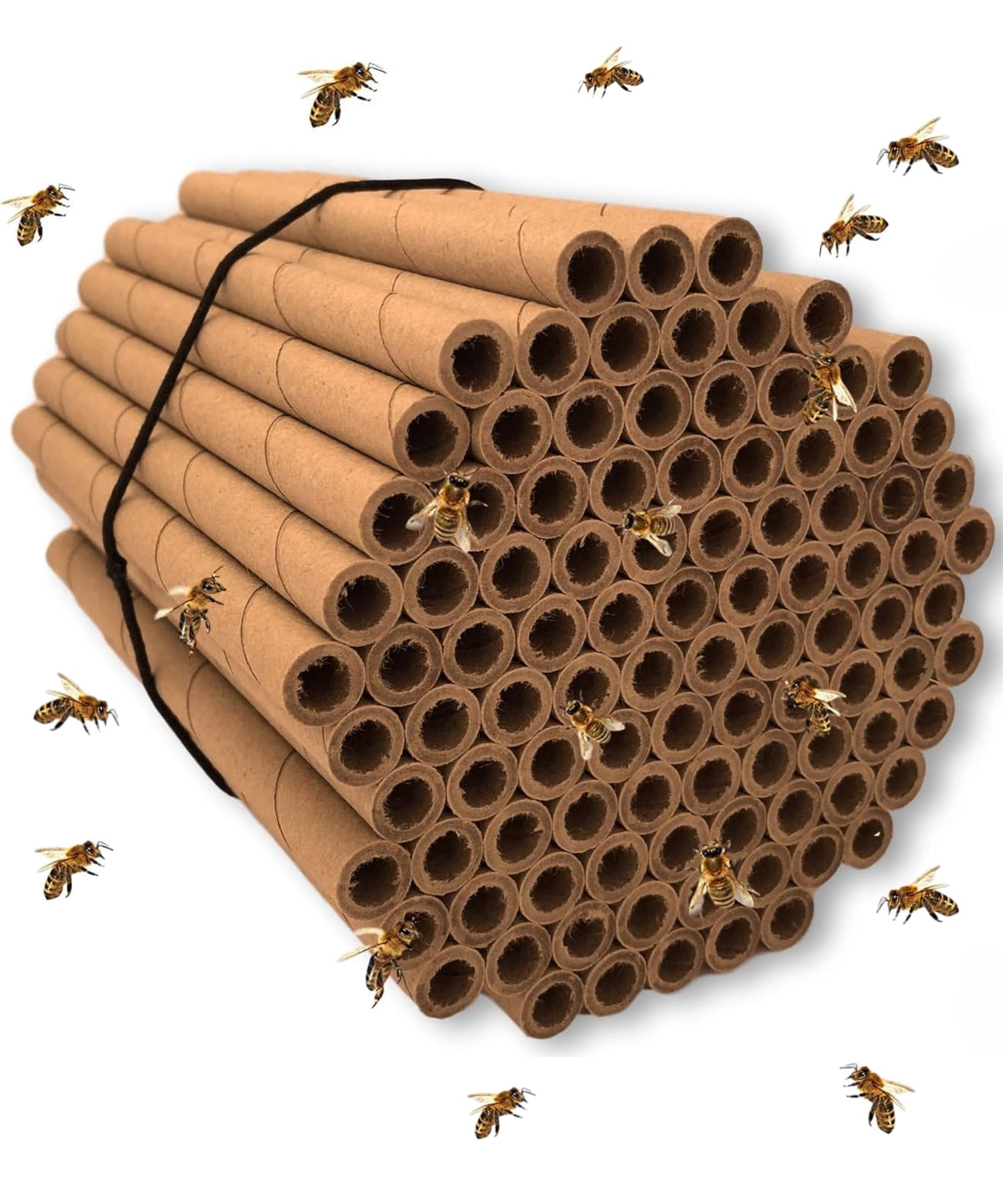 Merhoff and Larkin mason bee tubes with 6 inch length and 5/16 inch holes, ready for nesting.