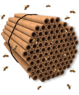 Merhoff and Larkin mason bee tubes with 6 inch length and 5/16 inch holes, ready for nesting.