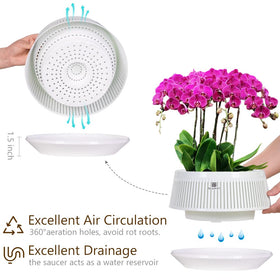 Meshpot 360-degree ventilation holes promote excellent airflow and drainage.