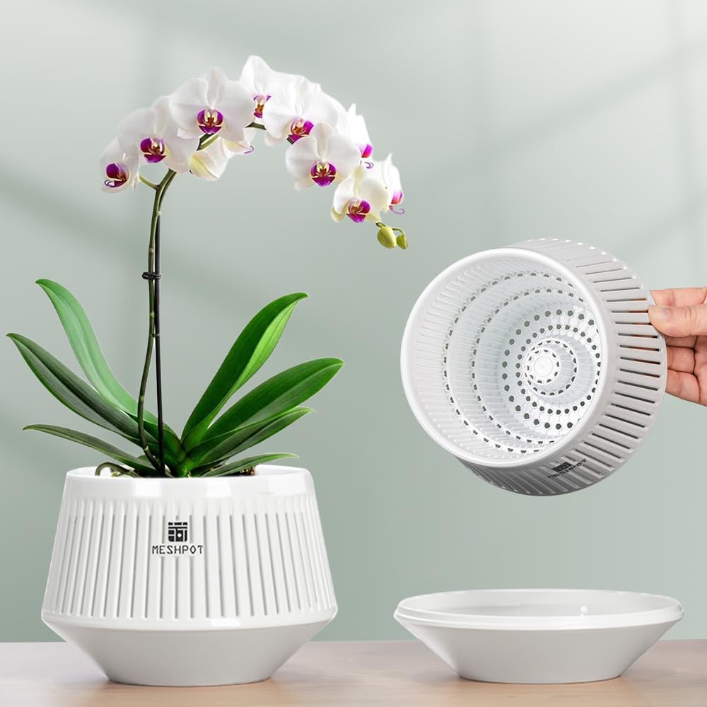 Meshpot 5-inch orchid pot with holes for improved airflow around roots