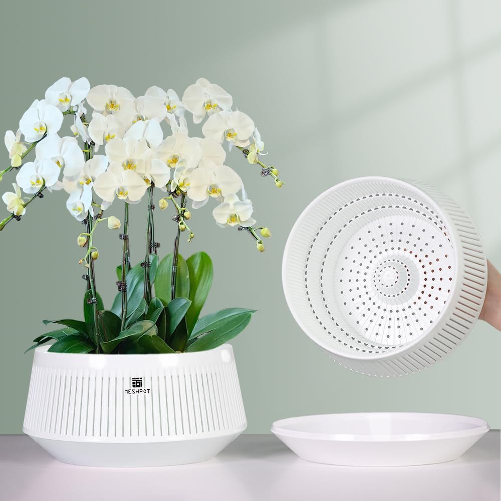 Meshpot 8-inch orchid pot with holes shows inner and outer layers for root health.