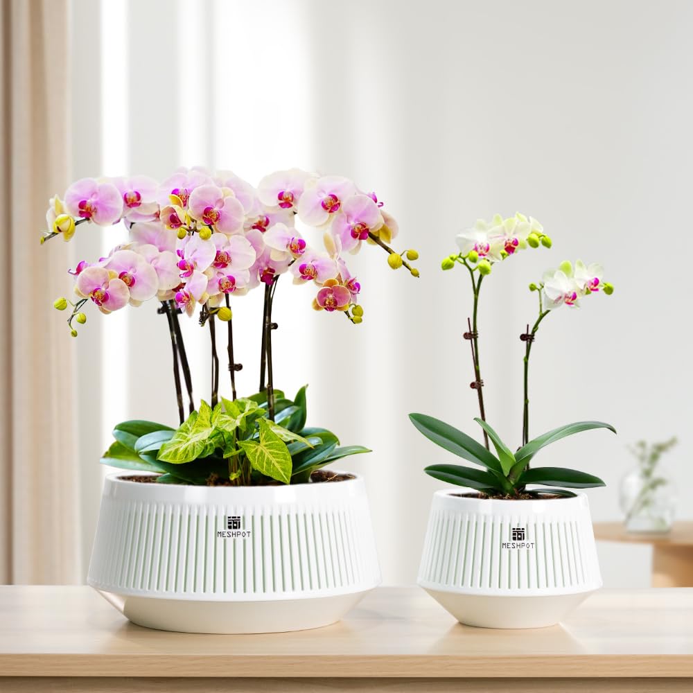 Meshpot air column center increases ventilation around the root zone