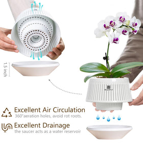 Meshpot air-pruning grooves guide roots for stronger, well-ventilated plants