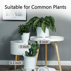 Meshpot indoor-outdoor plant pot versatile for balcony, windowsill, or desk.