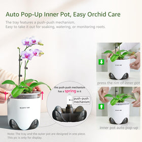 Meshpot orchid pot 360° ventilation promotes even root exposure