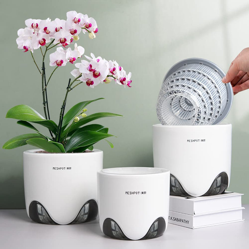 Meshpot orchid pot 5inch clear inner pot for easy root observation