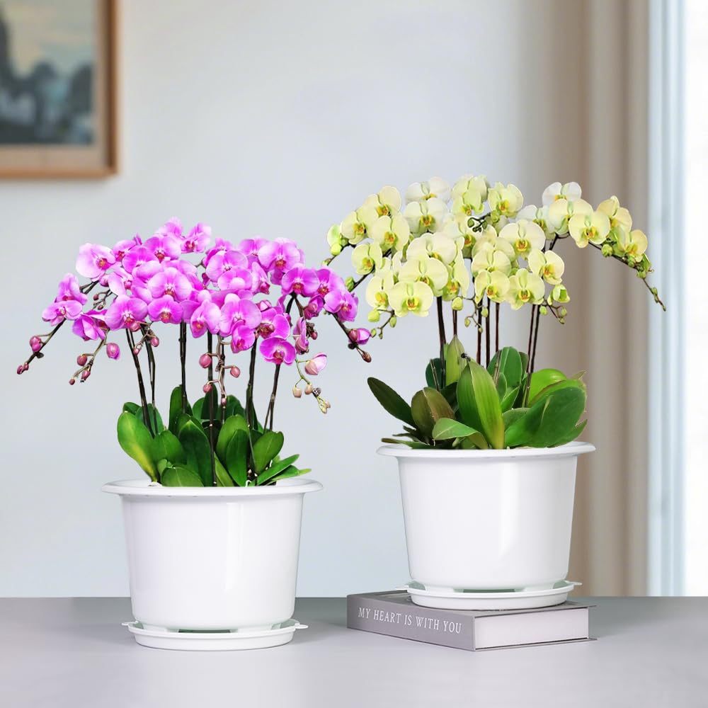 Meshpot 8-inch orchid pot outer pot offers durable, outdoor-ready housing.