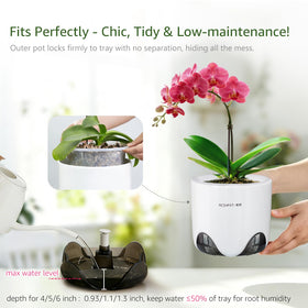 Meshpot orchid pot double-layer design blends visibility with decorative appeal