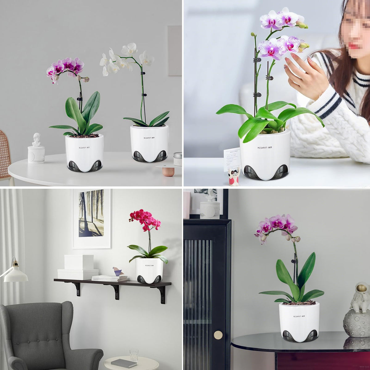 Meshpot orchid pot suitable for indoor and outdoor displays
