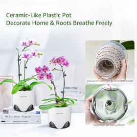 Meshpot orchid pot outer pot with ceramic-style finish for elegant display