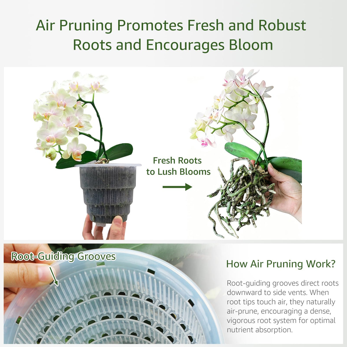 Meshpot orchid pot tray with rebound device enables quick root checks