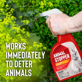 Messinas Animal Stopper ready-to-use spray enables easy garden protection.