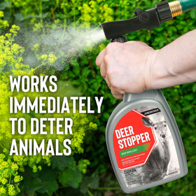Messinas Deer Stopper ready-to-use spray showing quick, clear application.