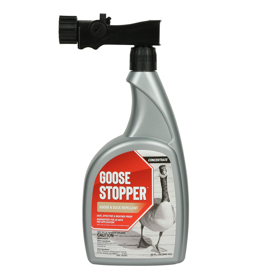 Messinas Goose Stopper bottle pour for quick lawn protection against geese
